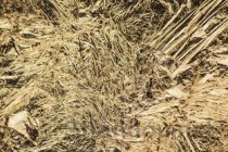 泉州十大刑事律师事务所2025年排行榜前十名榜单出炉