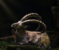 世界上最牛的堡垒，世界上最牛的堡垒是什么