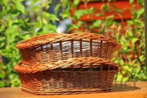 中国十大锁阳产地2025年排行榜前十名榜单出炉