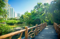 不要再胡乱选蹦蹦床！蹦蹦床哪个牌子好？蹦蹦床十大品牌排行榜！（成人健身蹦床哪个牌子好）