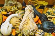 广州特产十大排名菜（广州特产食物）