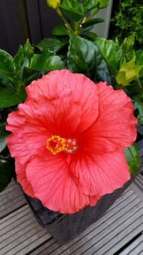 玉溪十大露营好去处2025年排行榜前十名榜单出炉