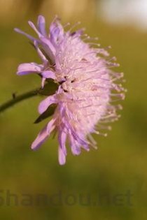 最好玩的模拟经营单机游戏2025年排行榜前十名榜单出炉