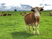 富豪排行榜前十名2020，富豪十大排名