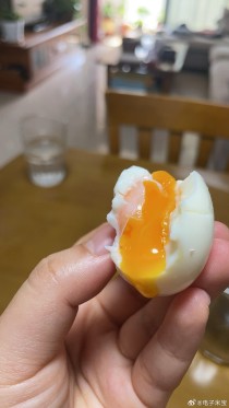 世界上最酸的鸡蛋（世界上最酸的零食）