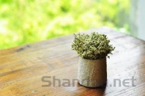 世界元帅对比排名前十的是谁，世界前十大元帅