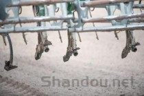 马伊琍电视剧盘点2025年排行榜前十名榜单出炉