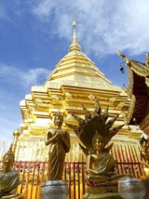 中国什么地方的傻子最，中国哪个地方的傻子比较多