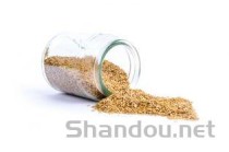 中国最便宜的椰林，国内哪有椰子树