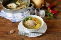 狗狗不吃饭只喝水是什么缘故？要如何应对？