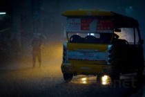 世界最高大货车排名前十，最高的大货车高度是多少