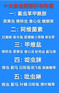 池塘里杀虾杀鱼什么药好杀鱼十大排名药物是什么