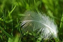 中国十大著名击剑运动员2025年排行榜前十名榜单出炉