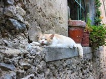 世界十大恐怖之一，世界排名前十恐怖