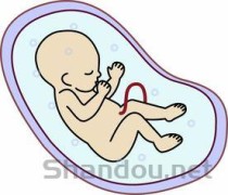 怀孕的母猫下面流血是什么引起的？怀孕的母猫下面流血要怎么调理？