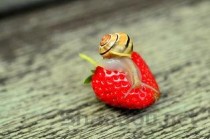 琼瑶剧十大渣男渣女2025年排行榜前十名榜单出炉