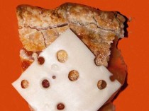 世界上最奇特法律（世界上最奇特法律是什么）