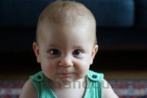 小奶猫吐奶流口水是何原因？小奶猫吐奶流口水怎么办？