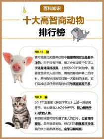 世界十大最珍稀的猴子世界上十大最漂亮的猴子图片