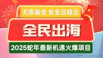 首码全民出海：2025年新机遇，无限裂变，0点准时盈利，长久且运行稳定