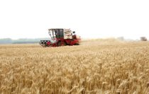 世界上主要的粮食产地世界粮食产区