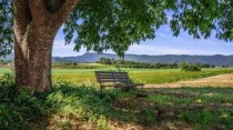 农村致富种植，农村致富种植大全