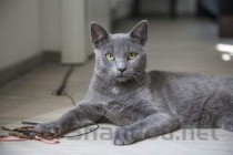 美国十大真人秀节目2025年排行榜前十名榜单出炉