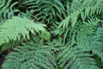 广东推拉门十大排名，广东推拉门品牌排行榜