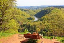 中国十大著名男跳水运动员2025年排行榜前十名榜单出炉