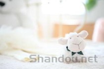 小狗一直抽搐是什么原因？小狗一直抽搐该如何解决？