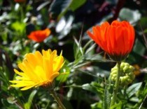 美国十大荒野求生节目2025年排行榜前十名榜单出炉