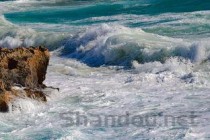 史上巨兽十大排名（全纪实史前十大巨兽排行榜）