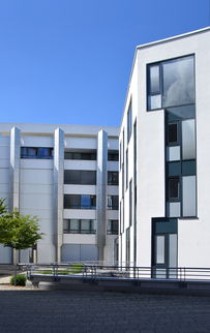 开封十大人气餐馆2025年排行榜前十名榜单出炉