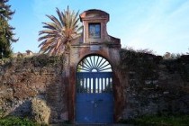 龙游烧烤十大排名龙游旅游攻略