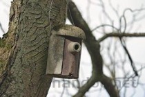 武汉十大最美民宿2025年排行榜前十名榜单出炉