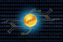 郑钦文能排世界前十吗（6月份运输公司安全生产例会）