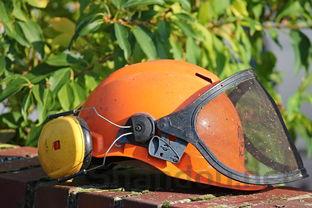 中国最老的书包,最早的书包图片大全