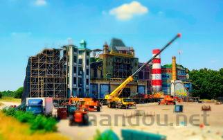 猫咪皮肤病检查毛囊炎是啥情况?该咋整?