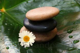 世界百米最快纪录排名,世界百米前十最快记录