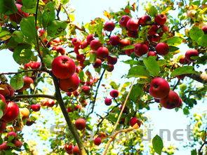 宁波十大适合春季旅游的地方2025年排行榜前十名榜单出炉