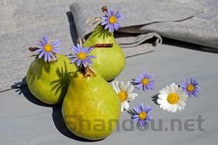 狗狗呼吸频率高是咋回事?狗狗呼吸频率高要怎么弄?