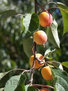 2022年十大热门现代喜剧2025年排行榜前十名榜单出炉