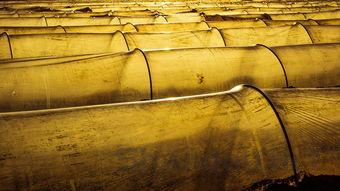 粮油基金十大排名榜,粮油基金十大排名榜名单