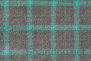 猫咪呼吸急促喘气是什么引起的?猫咪呼吸急促喘气要怎么改善?