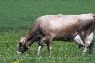 2021年好看的GL小说前十2025年排行榜前十名榜单出炉