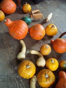 呼和浩特回民区著名景点2025年排行榜前十名榜单出炉