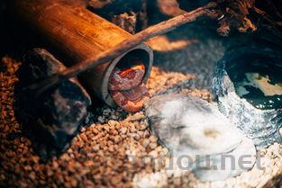 中国最凶杀案中国十大恐怖凶杀案