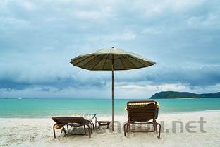 国产防晒伞十大排名榜,国产防晒伞十大排名