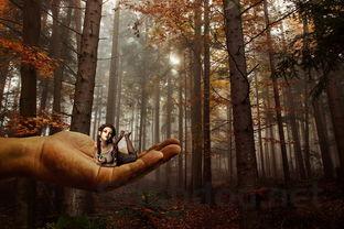 世界上最神奇的记忆,世界上最神奇的事情是什么