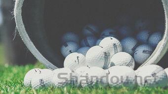 世界上最神奇的树胶,各种树胶的功效与作用